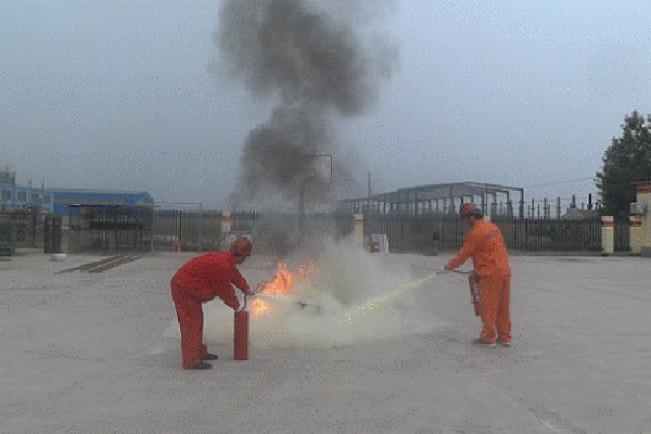 image012.gif
